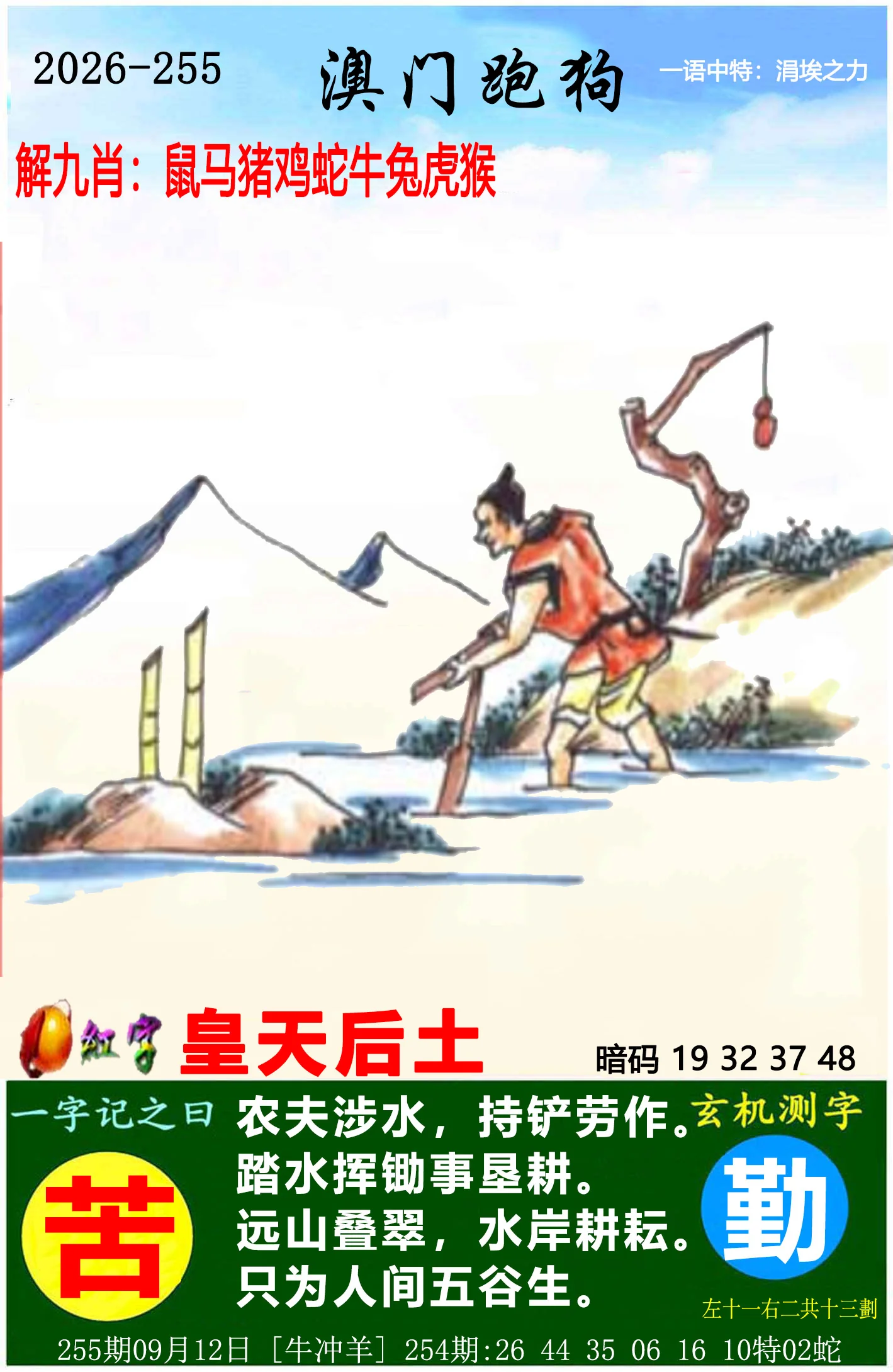澳门官网资料5